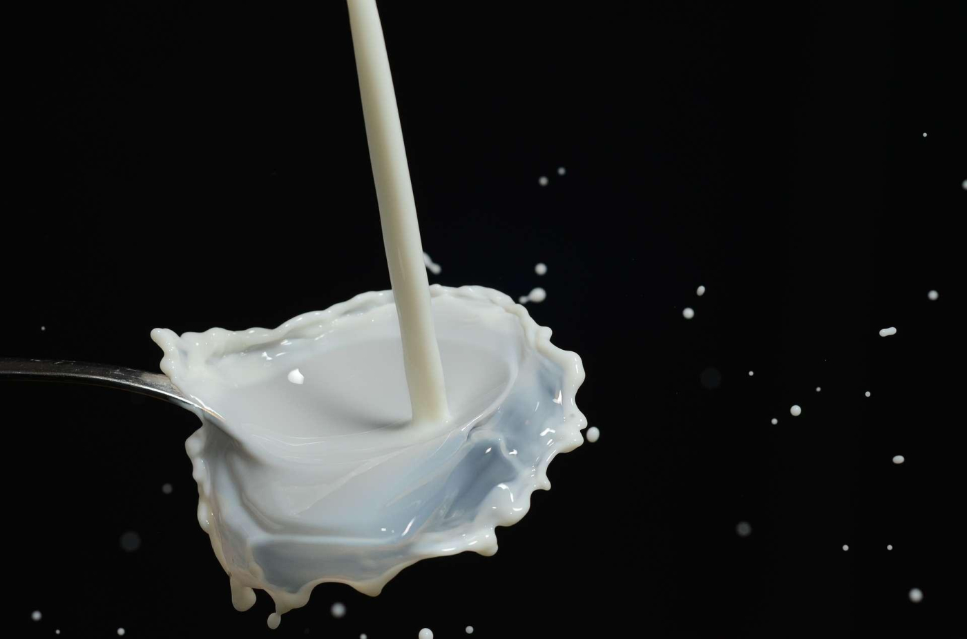 Susu Lipas Berkhasiat?