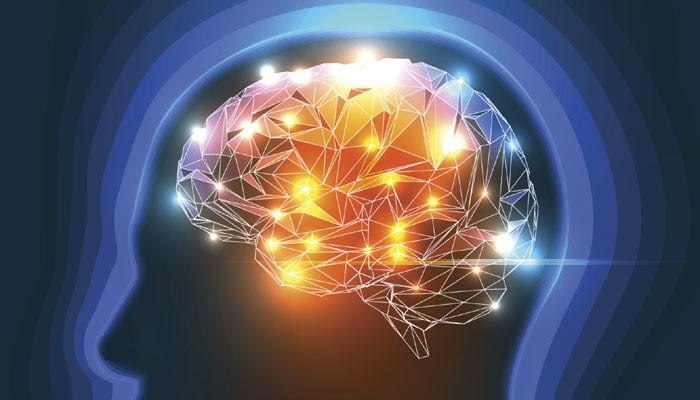 memahami-bagaimana-otak-berfungsi