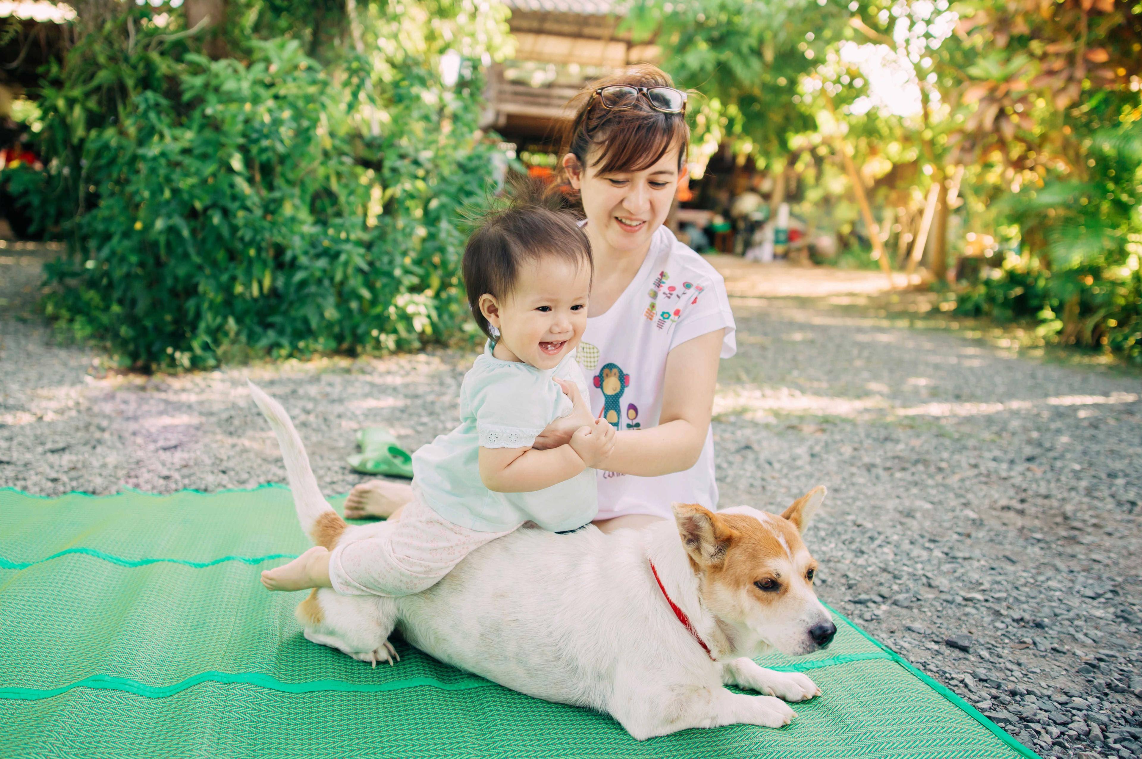 penganiayaan-terhadap-haiwan-dalam-kalangan-kanak-kanak