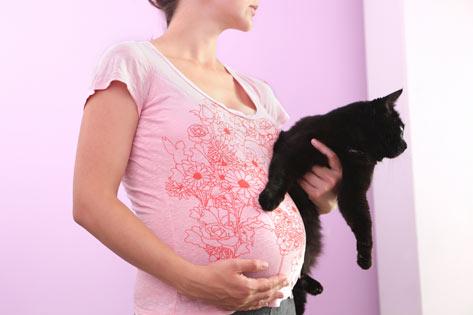 Adakah Haiwan Peliharaan Anda Boleh Membahayakan Bayi dalam Kandungan?