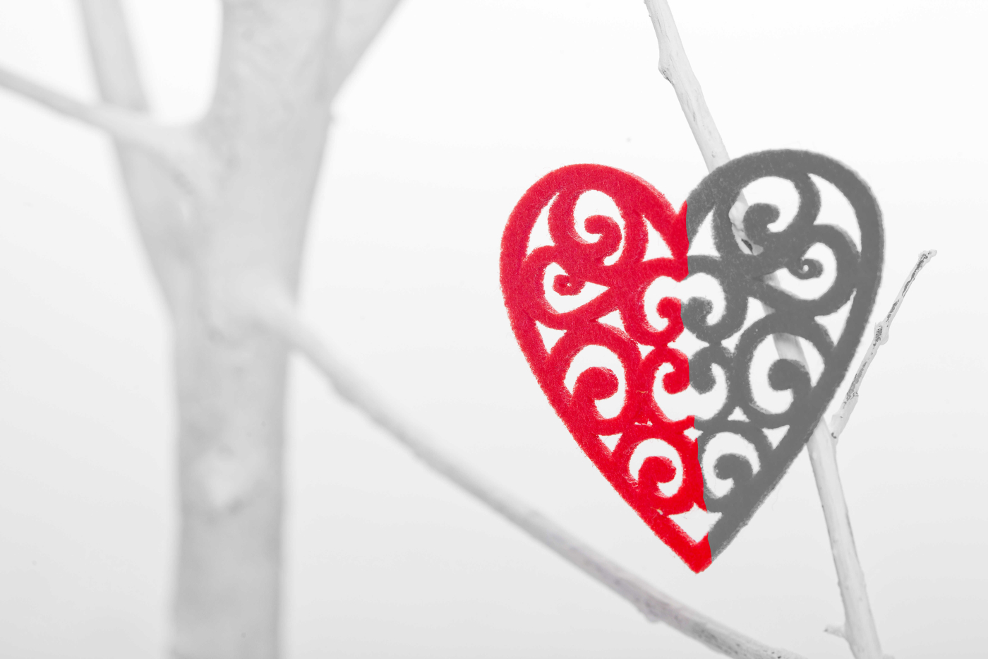 The Link Between Diabetes, Hypertension, and Cardiovascular Disease