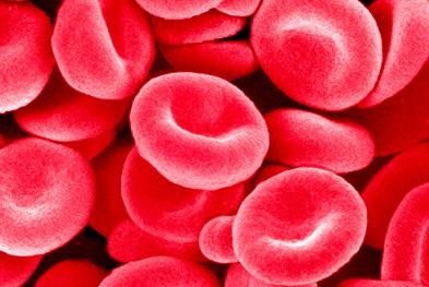 penyakit-anemia-kalangan-kanak-kanak