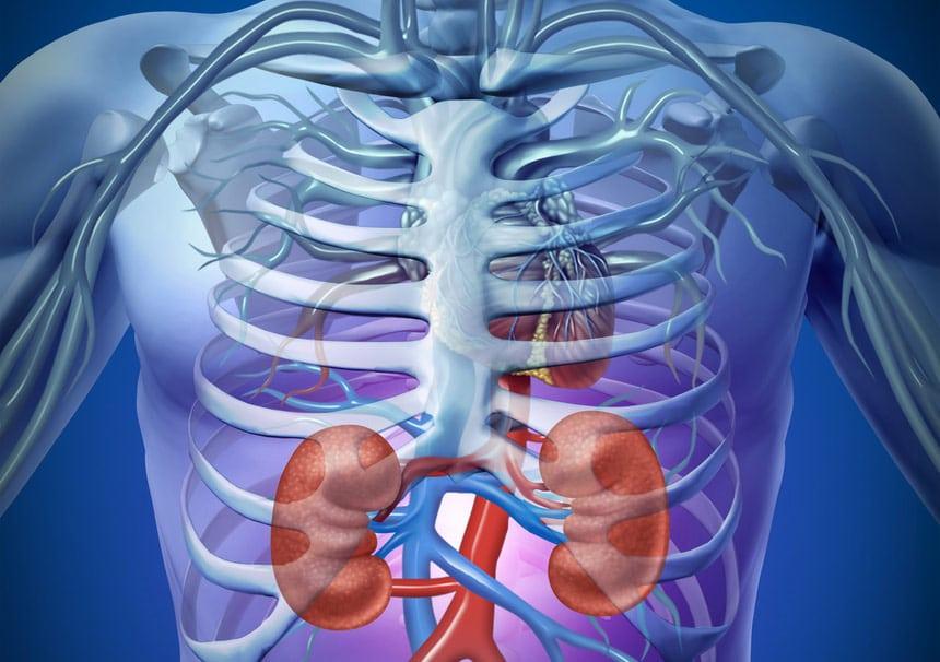 Anemia: Komplikasi Penyakit Buah Pinggang Kronik
