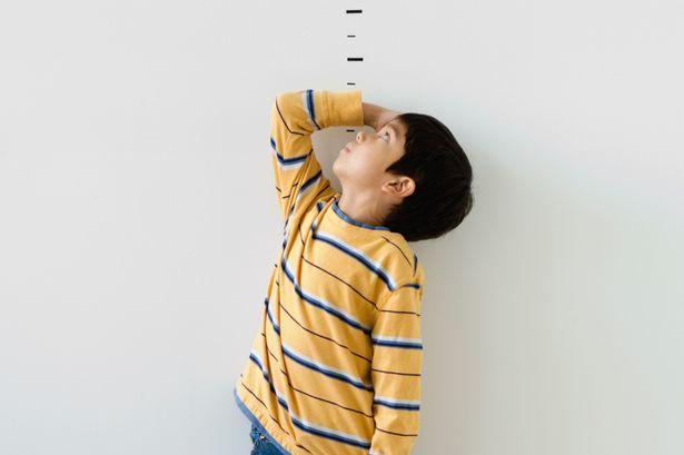 Adakah Anak Saya Pendek?