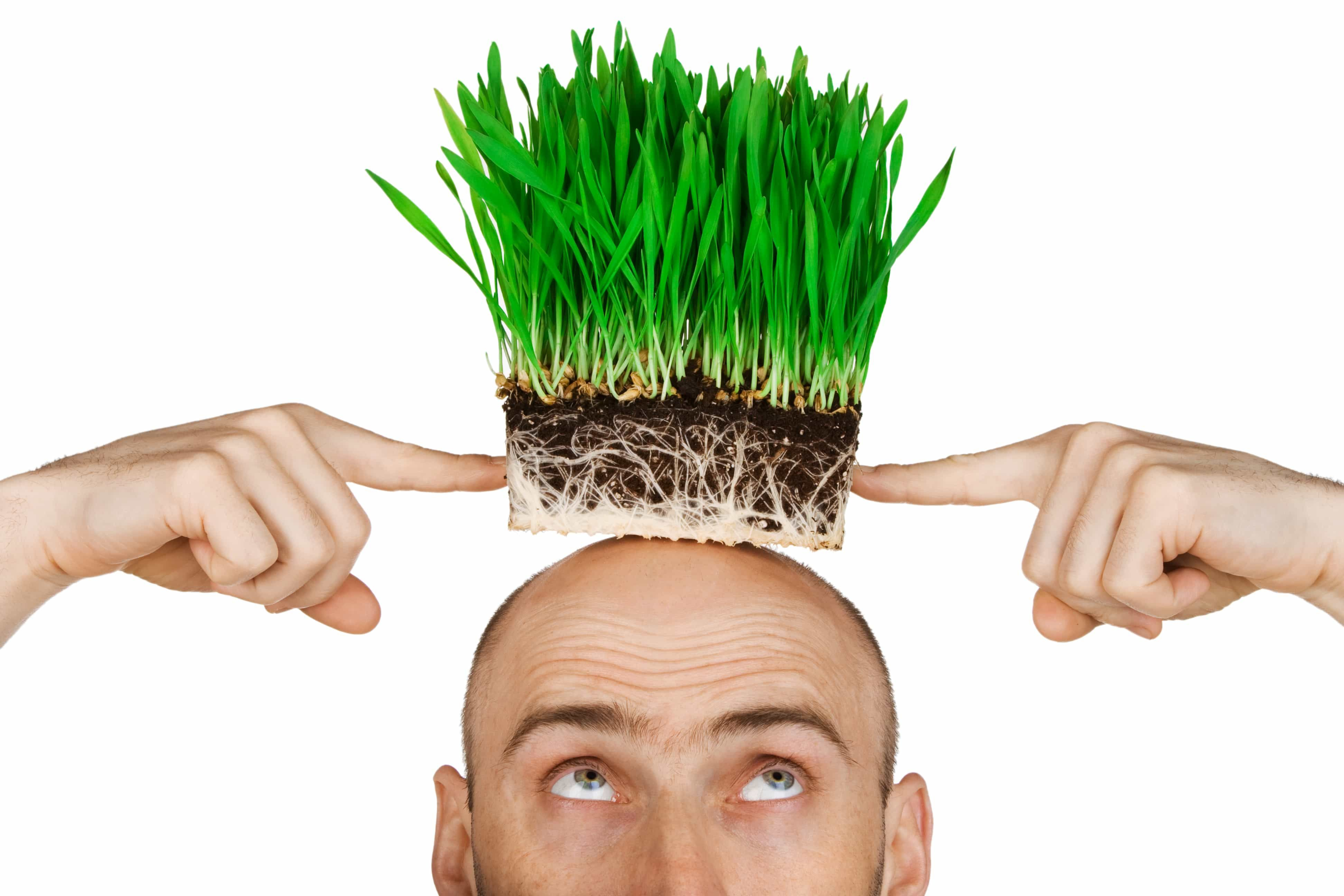 Rambut Botak dan Penyakit Jantung