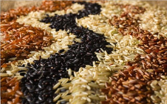 ketahui-perbezaan-jenis-beras