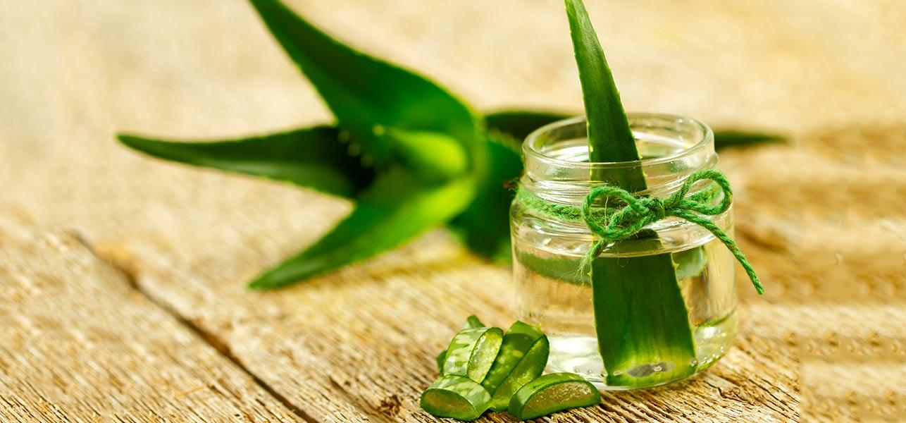 5 Benefits of Aloe Vera