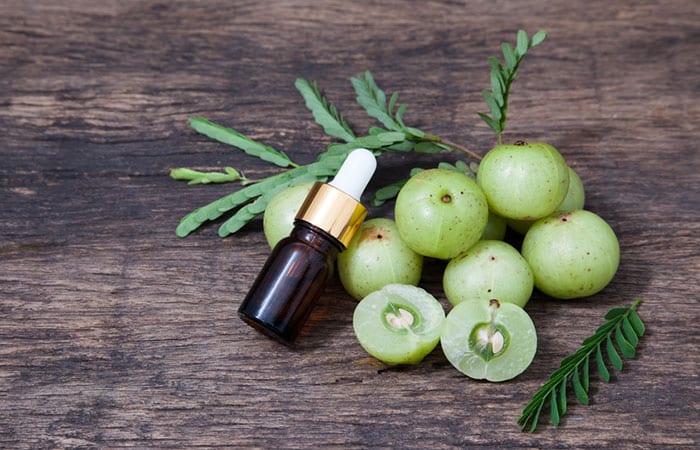 Herba untuk Anemia