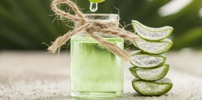 Rupanya Ini 5 Sebab Lidah Buaya Selalu Ada Dalam Produk Kecantikan, Khasiatnya Tiada Tandingan!