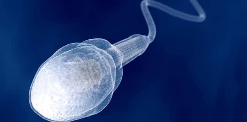 5-tanda-sperma-anda-sihat