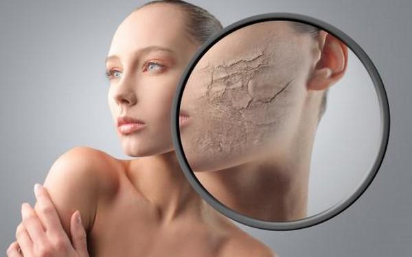 pelembap-pilihan-untuk-kulit-yang-lebih-lembut