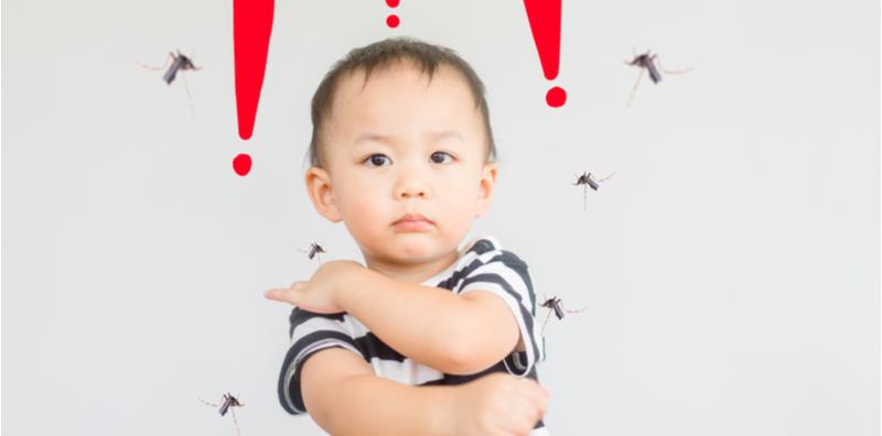 Musim Denggi Kembali! Ikut 6 Cara Berkesan Ini Untuk Merawat Demam Denggi