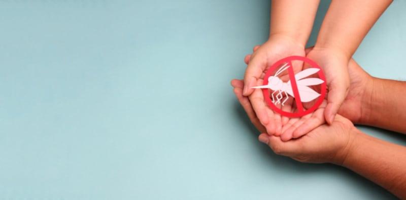 perbezaan-denggi-dengan-chikungunya