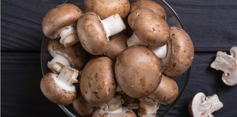 Suka Makan Cendawan? Manfaatnya Boleh Meningkatkan Imuniti Badan Dan Melawan Kanser