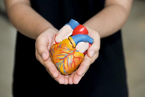 8 Persoalan Mengenai Derma Organ