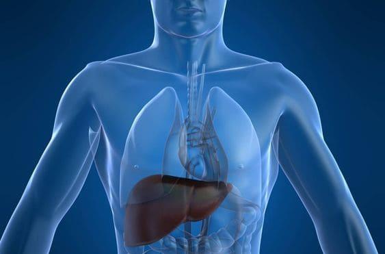 Hepatitis B Semasa Hamil