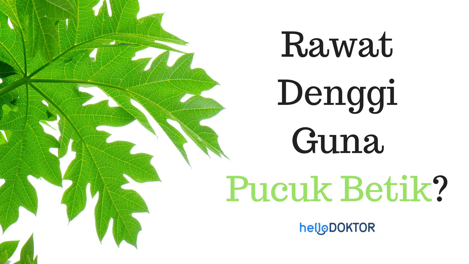 Pucuk Betik Sebagai Rawatan Denggi: Adakah ia Berkesan?