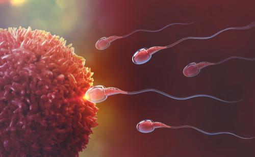 Ujian AMH Membantu Wanita Memahami Tahap Kesuburan
