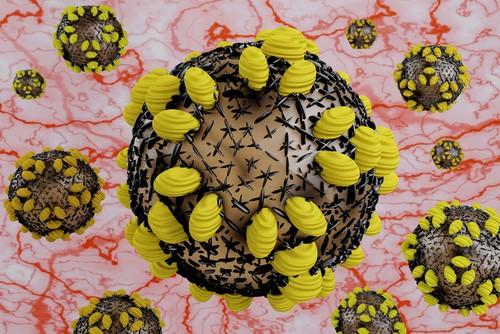 Komplikasi Dalaman Tubuh Akibat Hepatitis C