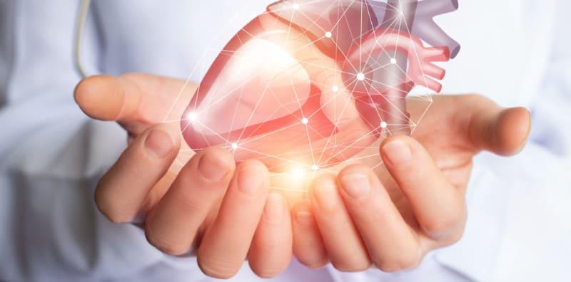 apakah-fungsi-jantung