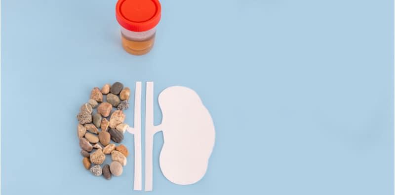 jenis-batu-karang-yang-perlu-anda-tahu