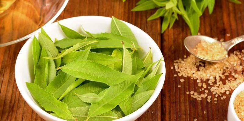 Khasiat Lemon Verbena