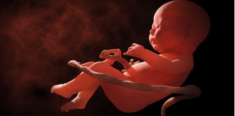 Tak Sangka, Rupanya Ini Cara Bayi Dalam Kandungan Bernafas! Ingatkan Sama Macam Kita