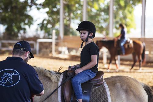keberkesanan-terapi-bantuan-kuda