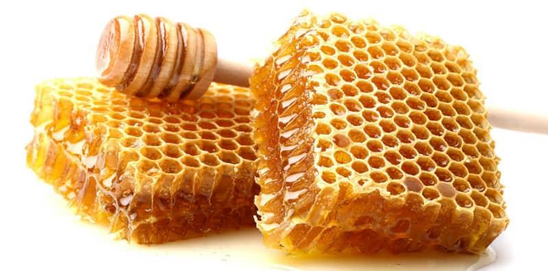 7-khasiat-sarang-lebah