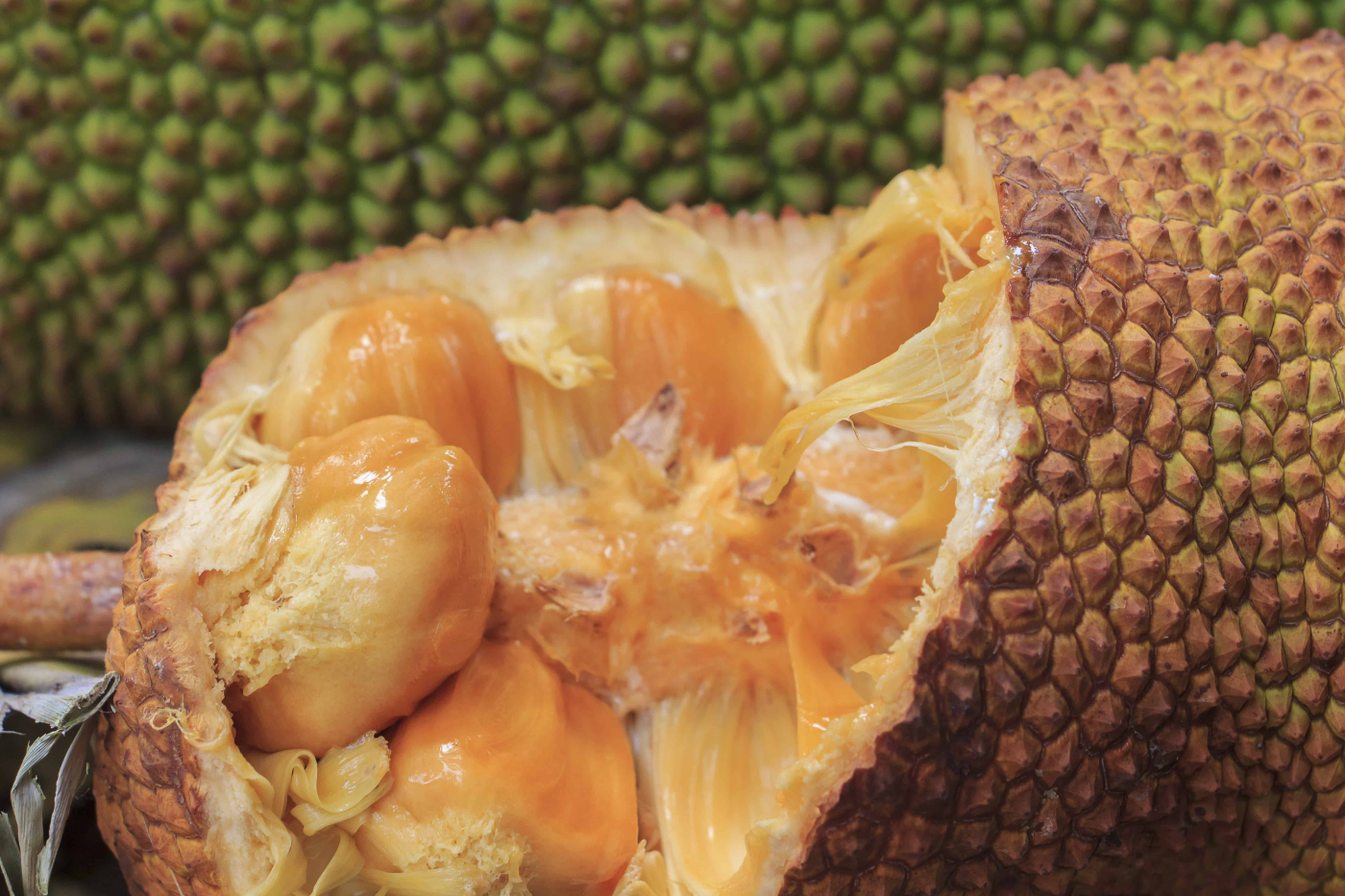 Kenali 5 Manfaat Buah Cempedak