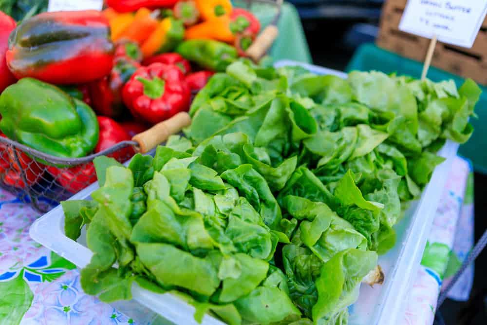 Hati-Hati Jika Anda Selalu Makan Salad Romaine, Bahaya Ia Selalu Dicemari E.coli