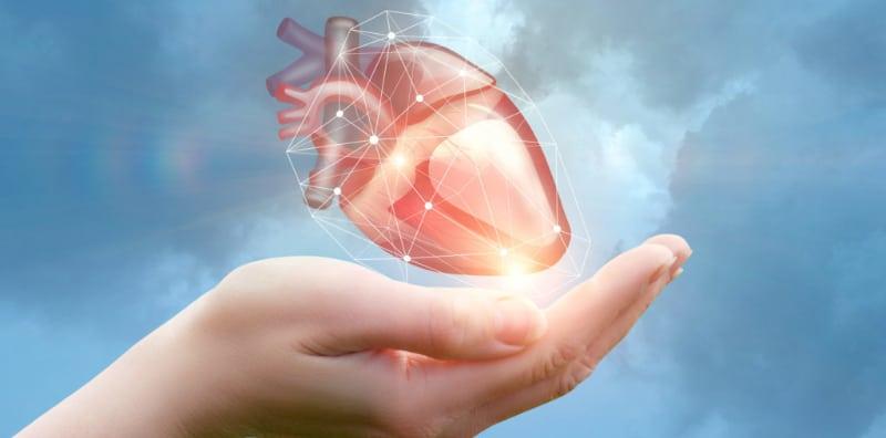 fakta-menarik-mengenai-jantung-anda