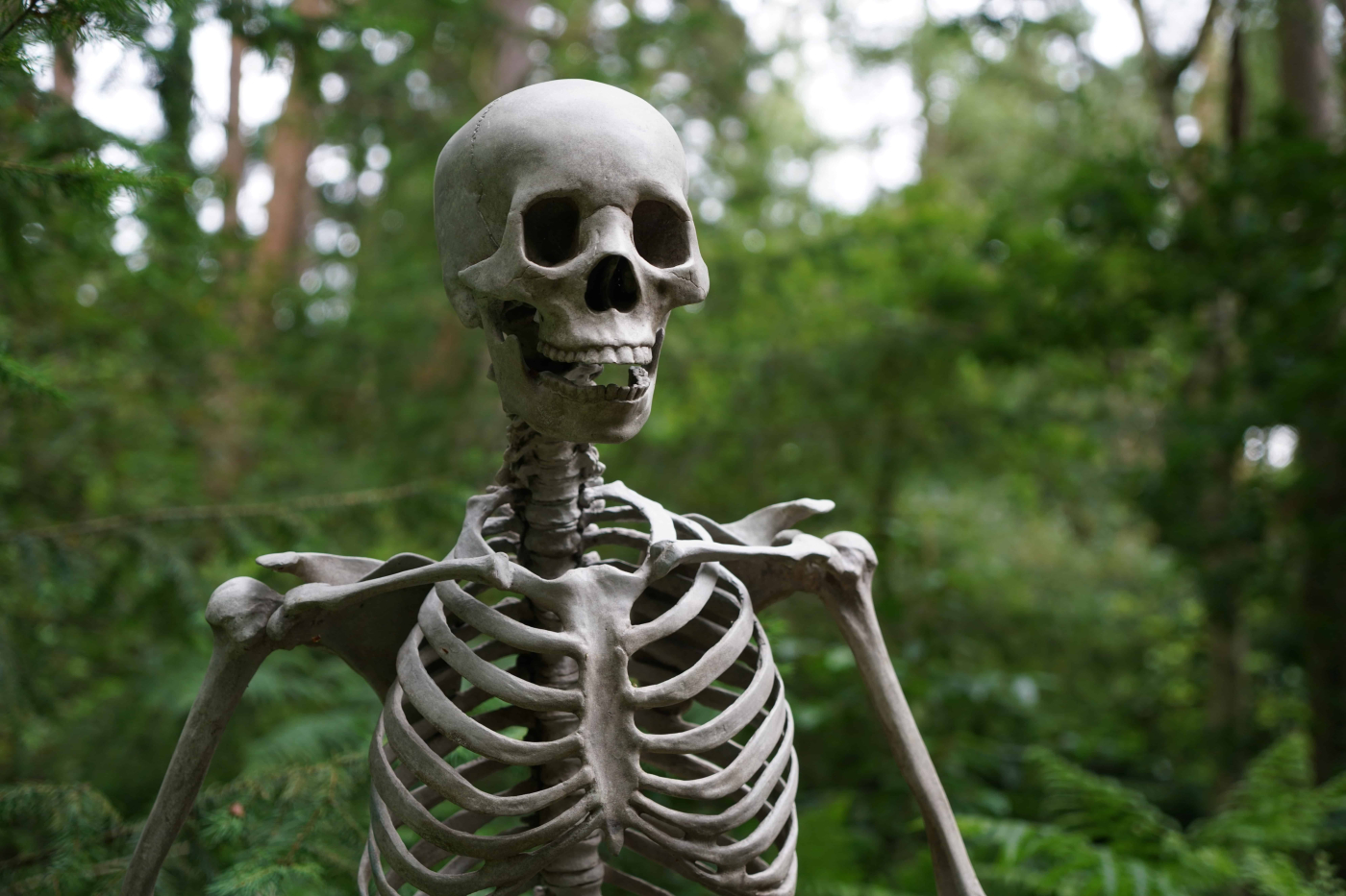 Fakta Menarik Tentang Tubuh Badan Manusia