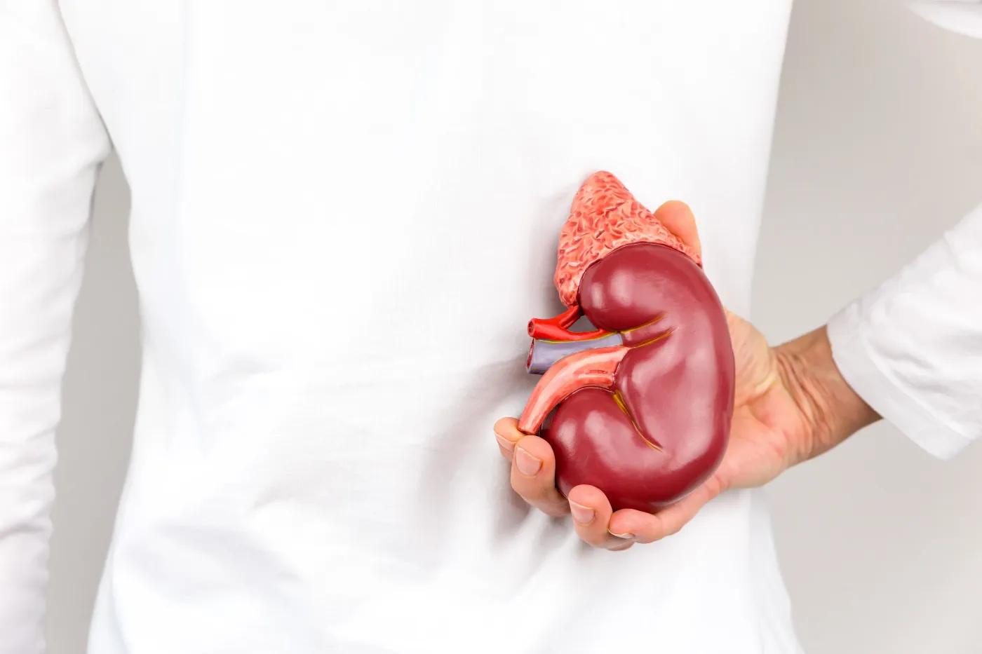 Wah! Kita Boleh Derma 4 Organ Ini Semasa Masih Hidup