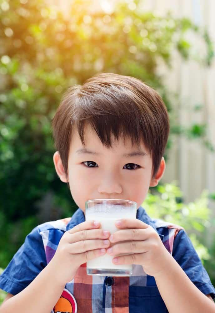 Anak Alah kepada Susu Lembu: Apa yang Perlu Anda Lakukan?