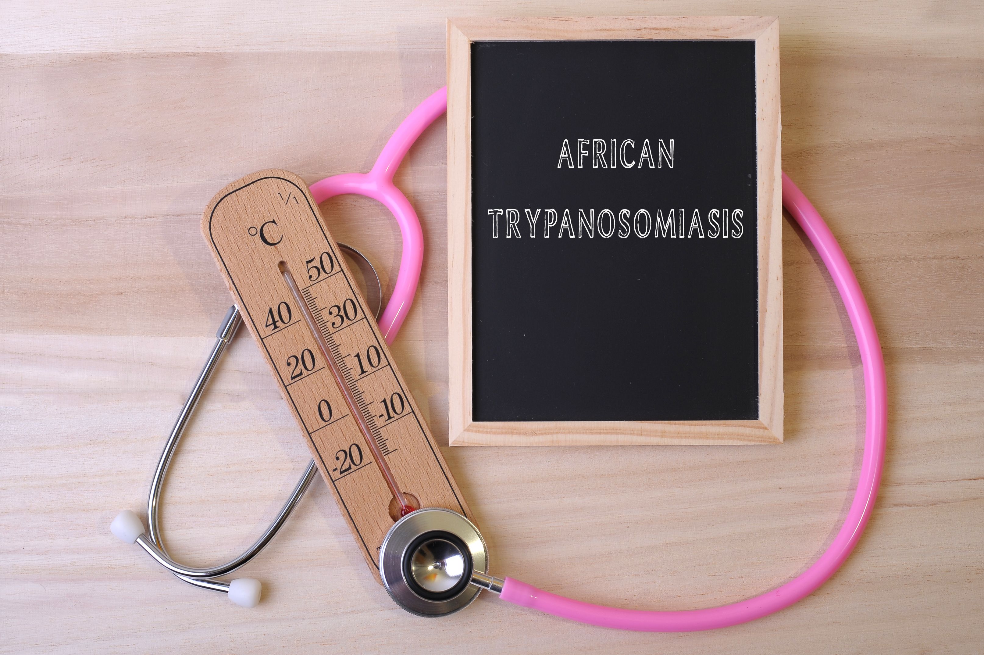 African Trypanosomiasis: Penyakit Parasit Bawaan Lalat