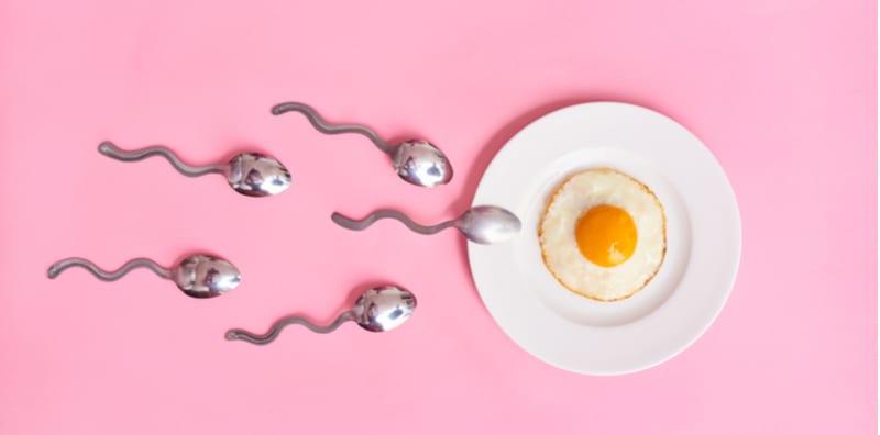 7 Fakta Menarik Mengenai Ovulasi, Orang Perempuan Kena Faham & Ambil Tahu!