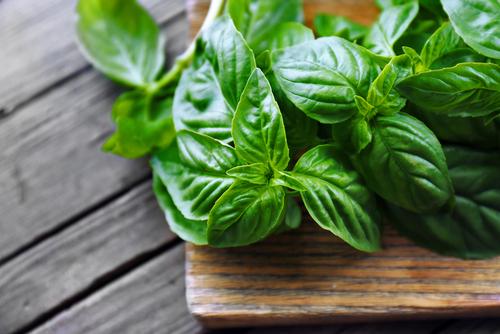 9 Anti-ageing Skin Care Ingredients That You Never Heard of