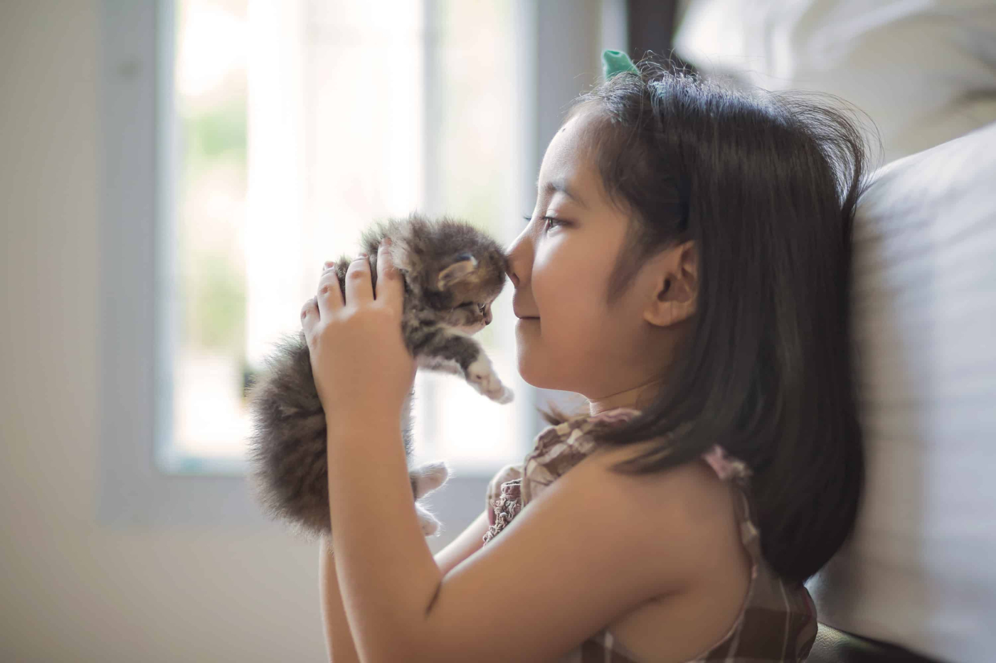 Haiwan Peliharaan: Yang Mana Satu Sesuai untuk Anak Anda?