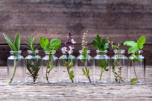 Essential Oils for Muscle Cramps that Actually Work