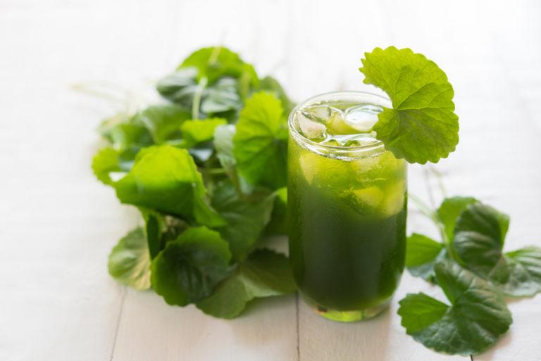 Rahsia Keremajaan Kulit Rupanya Ada Pada Pegaga!