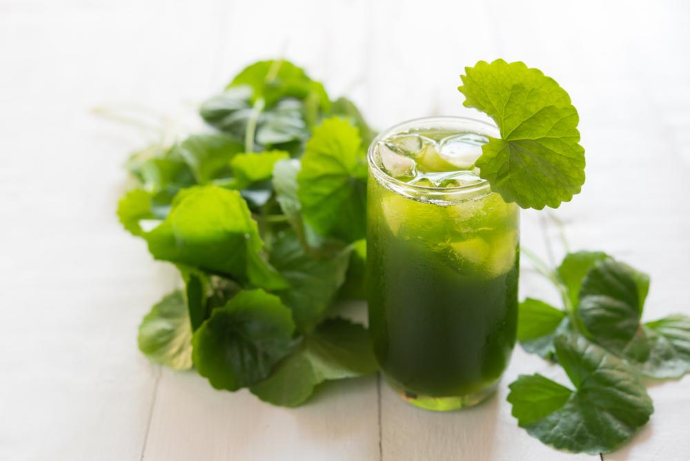 The Latest Anti-Ageing Skin Breakthrough: Gotu Kola (Pegaga)