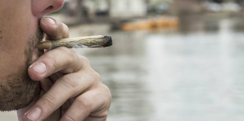 Betulkah GANJA Boleh Tingkatkan Kesuburan Lelaki? Kajian Terbaru Buktikan Sesuatu!