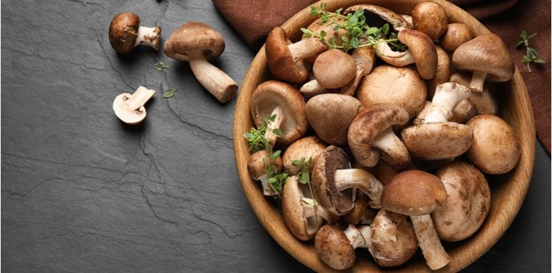 meningkatkan-kesihatan-kulit-dengan-cendawan