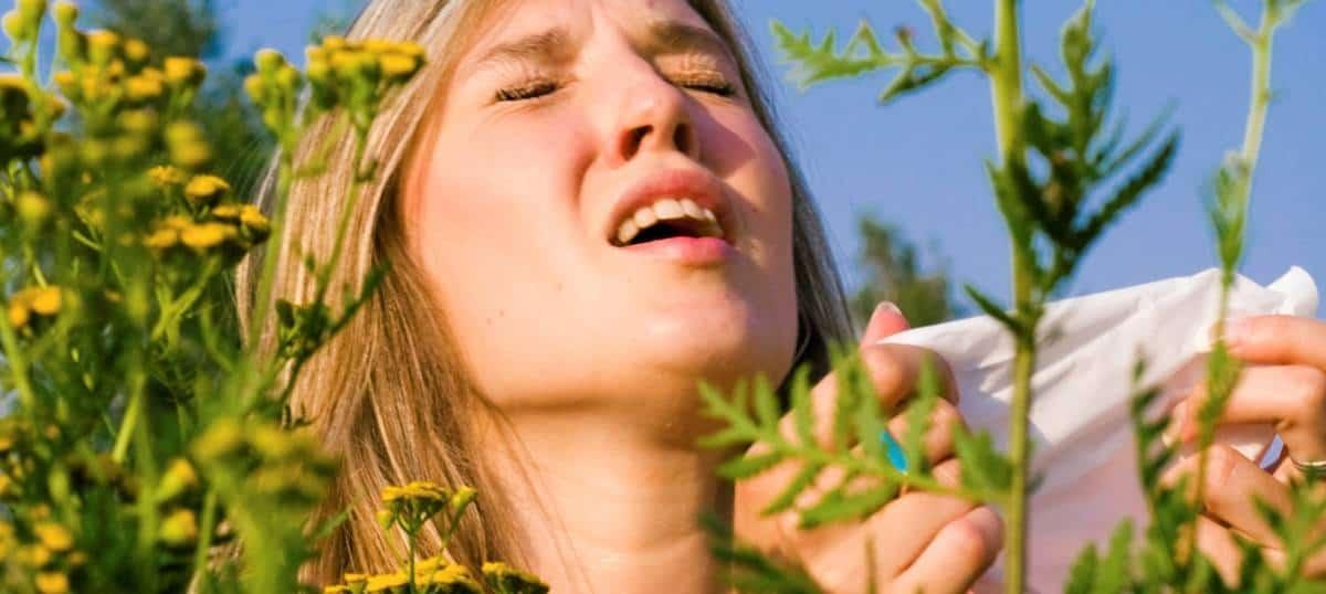 apa-yang-anda-perlu-tahu-mengenai-asma-alahan