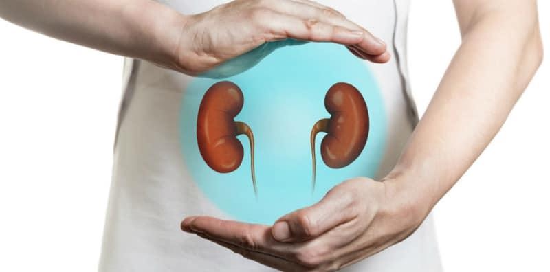 Kenali 4 Fungsi UTAMA Organ Buah Pinggang Kepada Tubuh Badan Anda, WAJIB Ambil Tahu