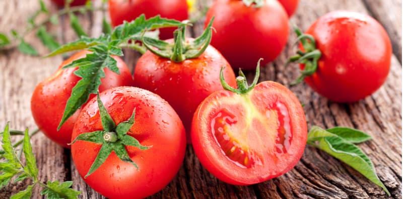 manfaat-buah-tomato