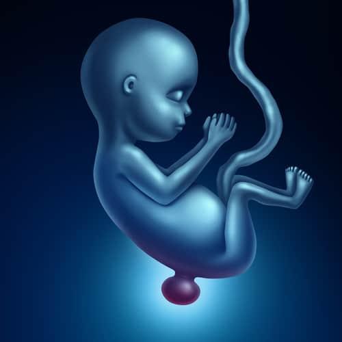 Spina Bifida: Kecacatan Sejak Lahir