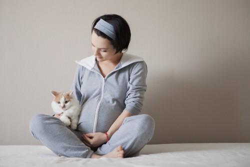 Toksoplasmosis: Parasit Menjangkiti Haiwan dan Menular Kepada Manusia