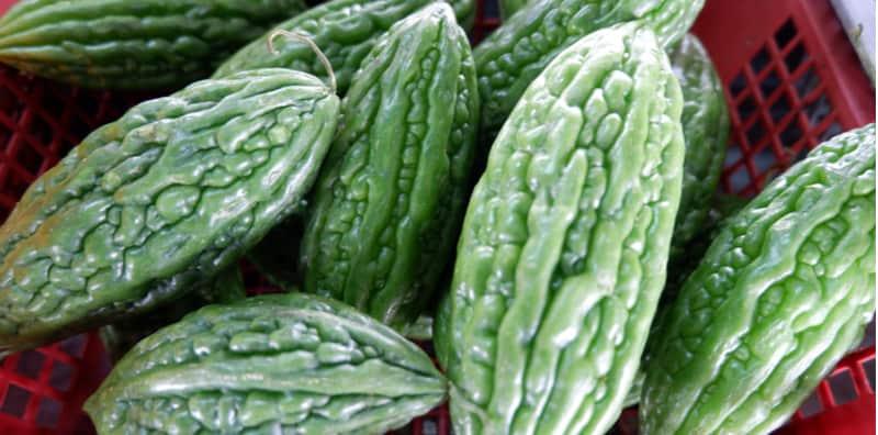 peria-katak-untuk-pesakit-diabetes